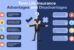 Beyond the Basics Mastering the Nuances of Popular Insurance